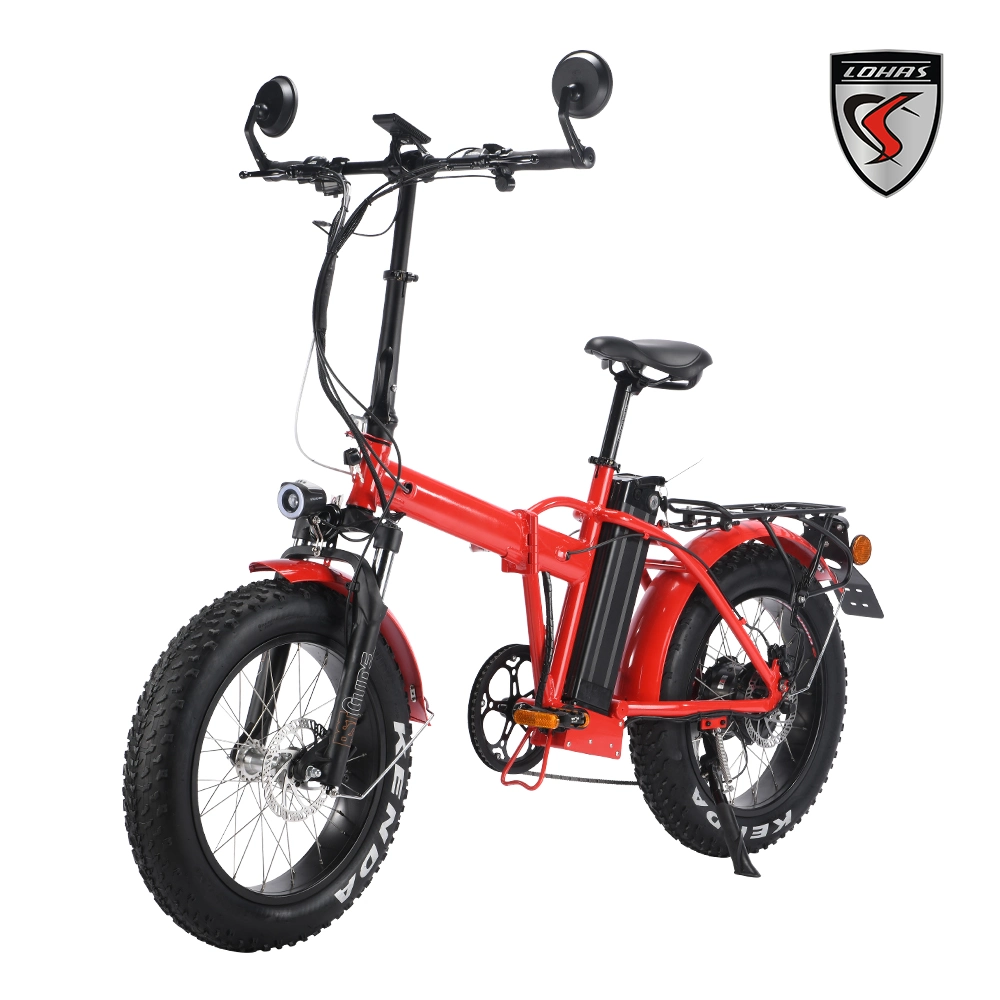 1000W EEC Electric Scooter Without Anti Dumping Tax Folding Electrical Bike