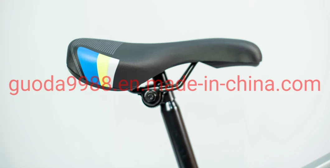Wholesale High-Quality Mountain Bike/Road Bikes/Bicycle for Adults