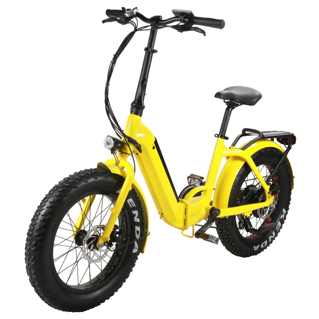 No MOQ Electric Folding Bike for Girls/ 350W Bicycle Electric