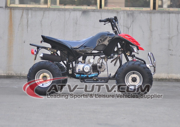 Hot Selling Electric Start Street Legal ATV Coc Quad 110cc 125cc 150cc ATV