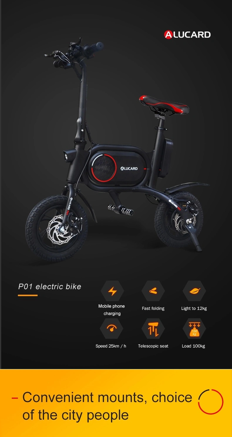 Wheels Electric Bike 2021 350W Europe Warehouse Foldable Ebike