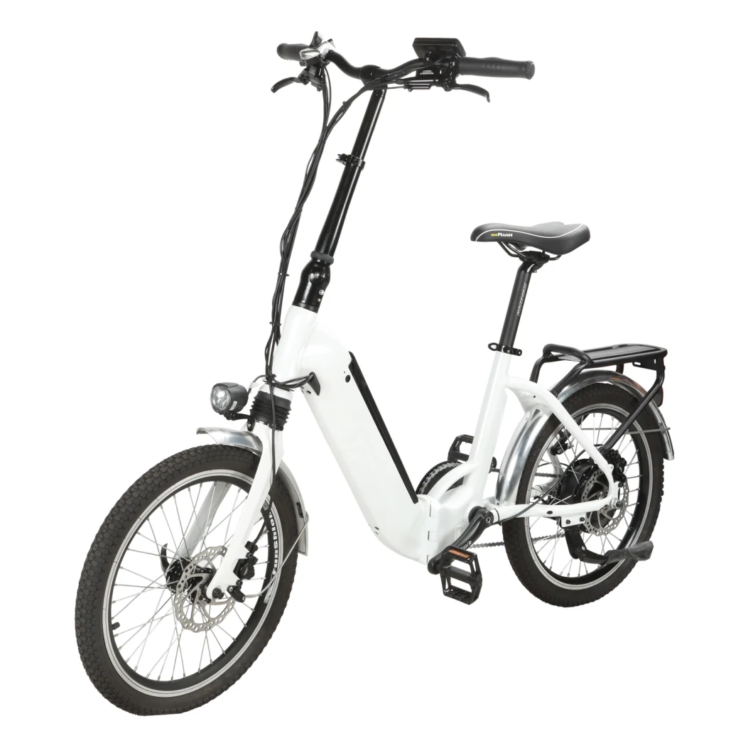 Mini Cheap Chinese Electric Bike with Shimano 7-Speed Tourney