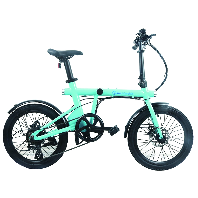 Easy Rider Bicycle Electric Bike Folding Electric Bicycle Cheap Electric Bike From China