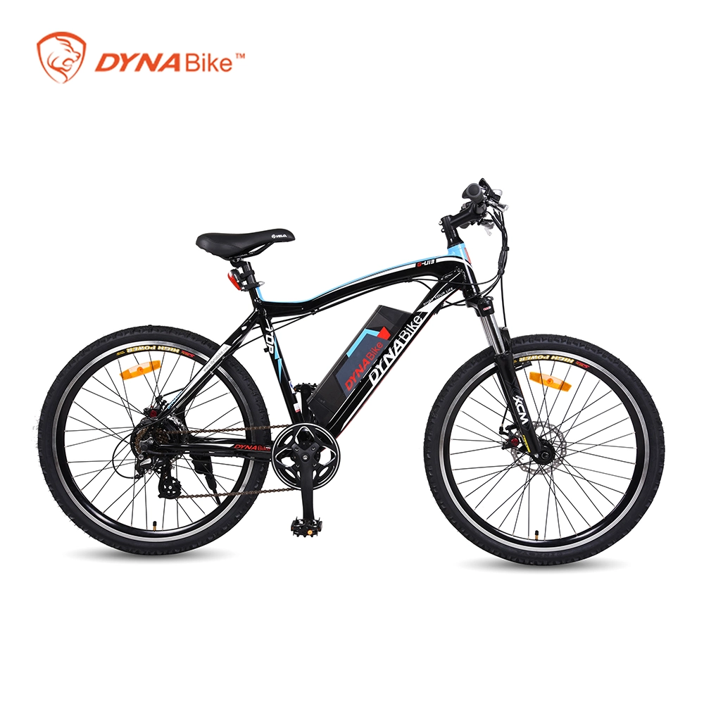 Outdoor Sports Electric Bike Adult Motorbike Electric for Sale