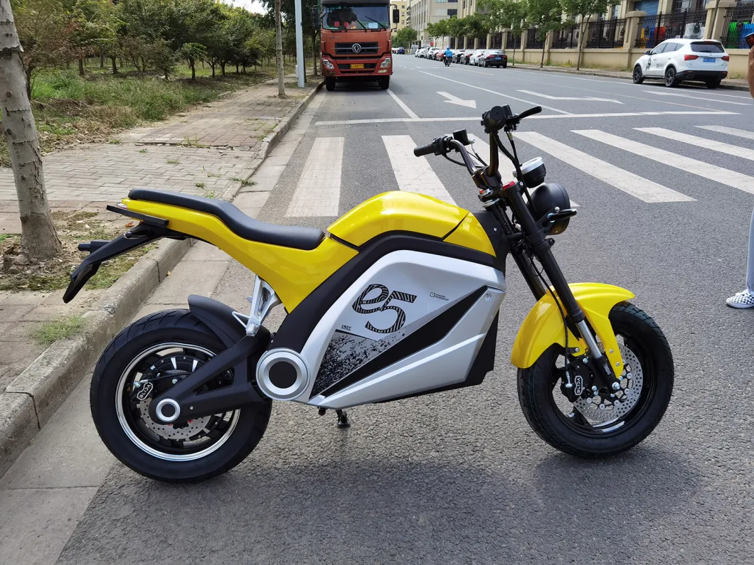Hot Selling New Lithium Battery 2 Wheels Motorcycle Bikes Electric Bikes