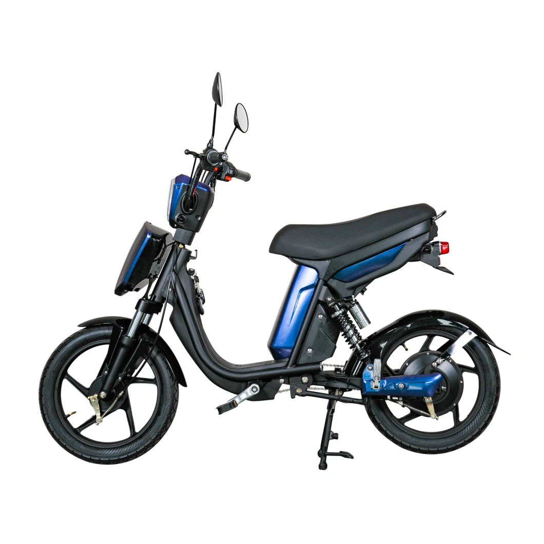 Simple Classic Electric Bike with Pedal 350W