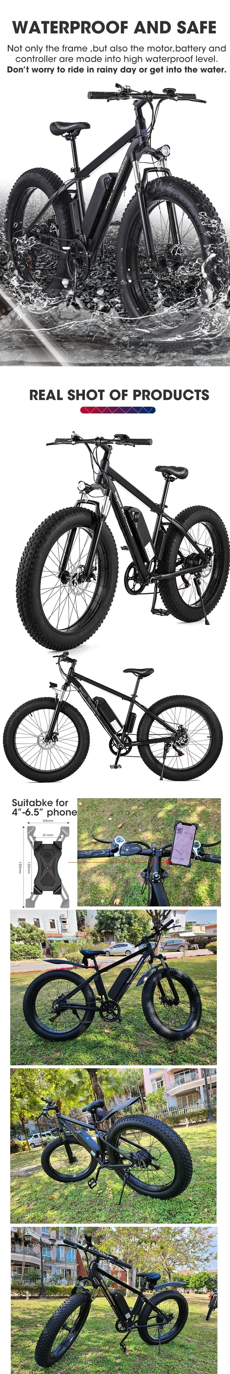OEM Factory 750W/1000W Powerful Fat Tyre off-Road Electric Bicycle/Electric Bike