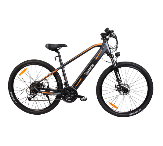 Adult Road City 13ah Electric Bikes with Bafang Motor
