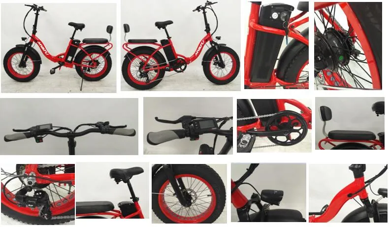 Folding Electric Bikes for Eurpean Market