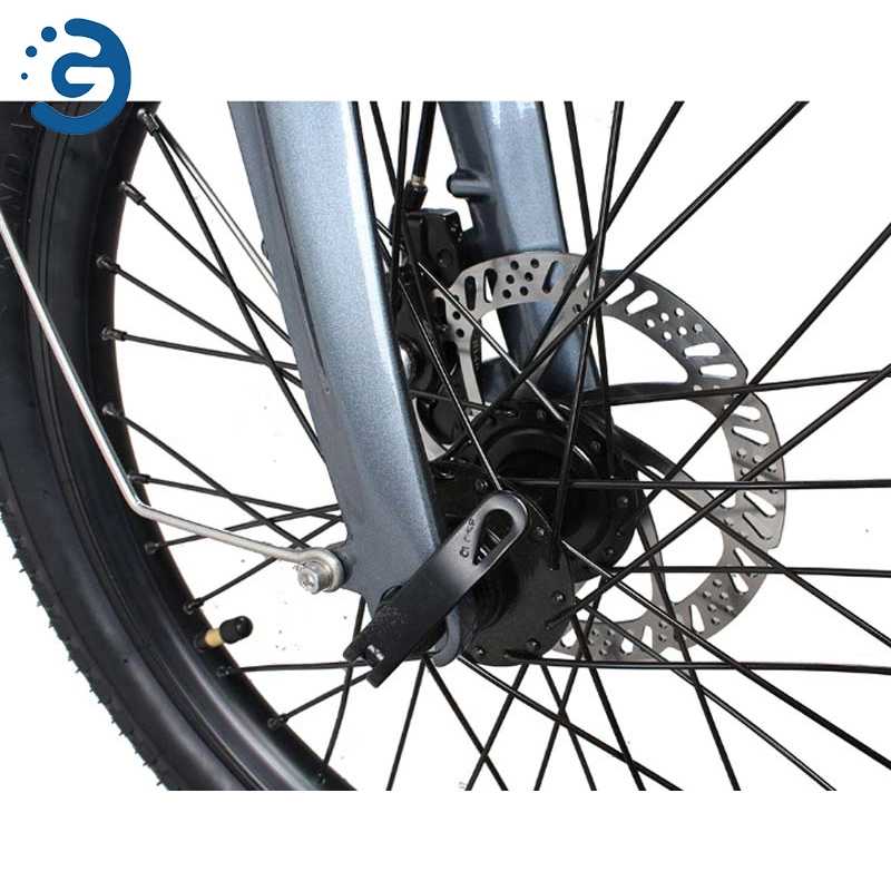 Hot Sale Fashionable E-Bike 20 Inch Lithium Battery Bicycle Folding Bicycle