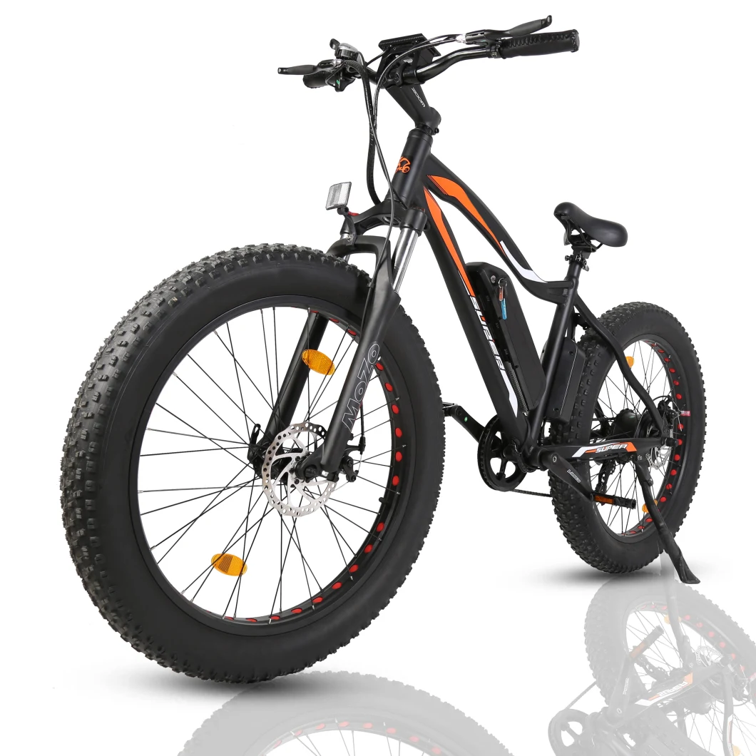 Aluminum Alloy Frame Fat Tire 36V Electric Bike with Pedal Assistant