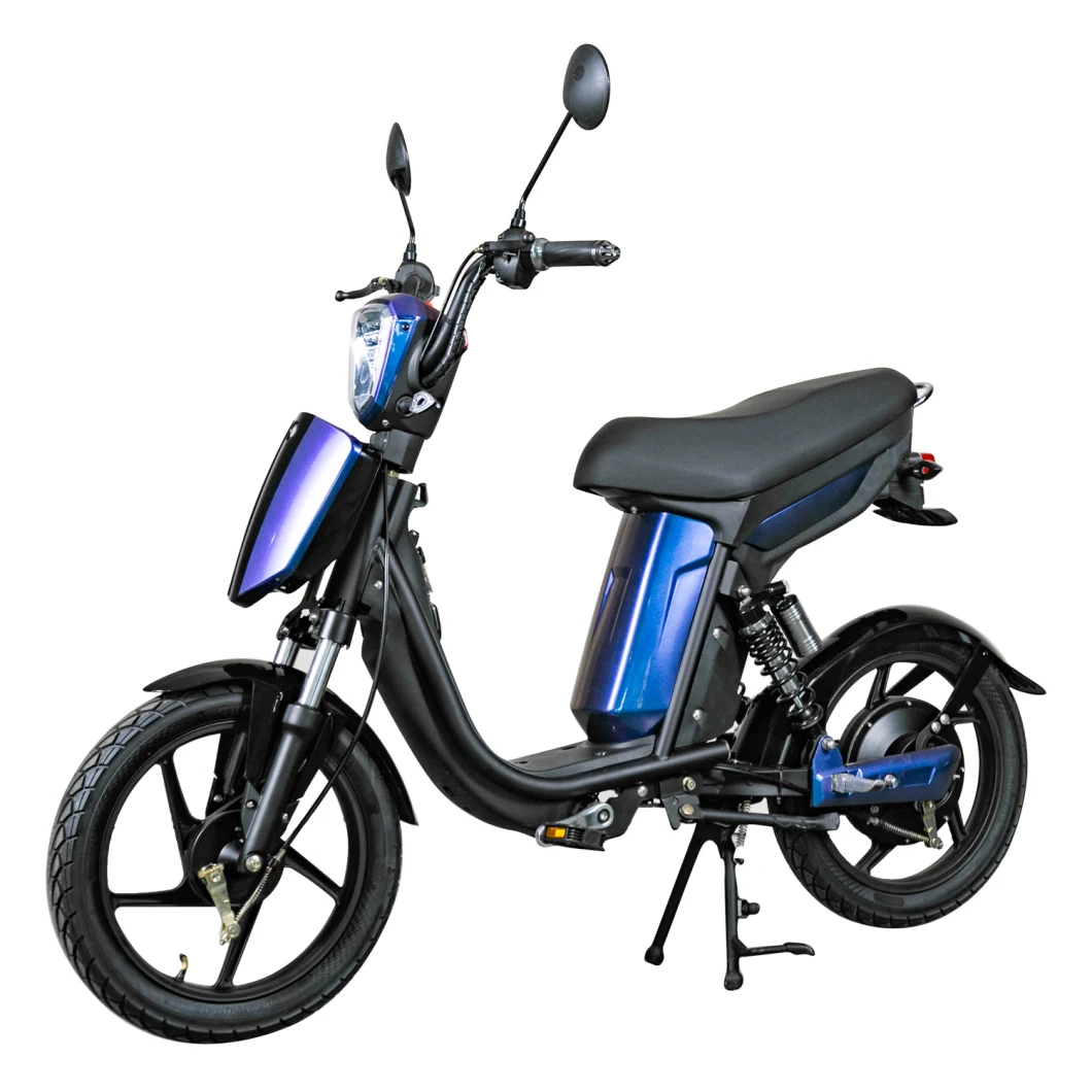 Simple Classic Electric Bike with Pedal 350W