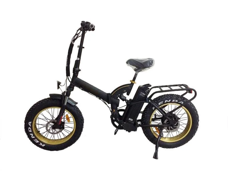 Hot High Quality E Bike China Manufacturer Customized 15.6ah Electric Bike 36V/48V 250W/350W/500W Electric Bicycle Mountain Bike