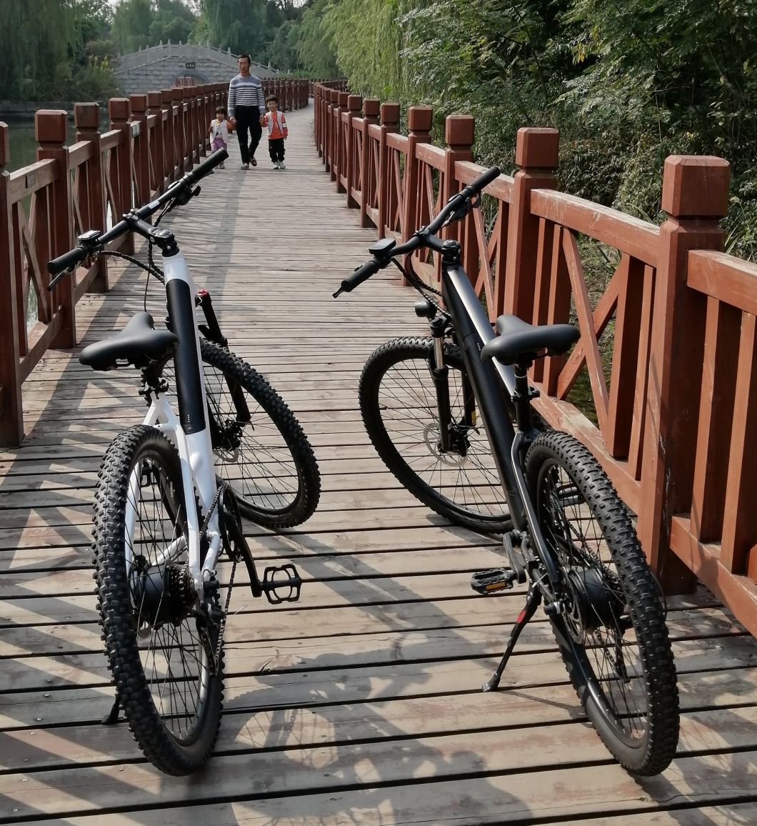 Specialized Step Through City Bicycle Electric Power Bike