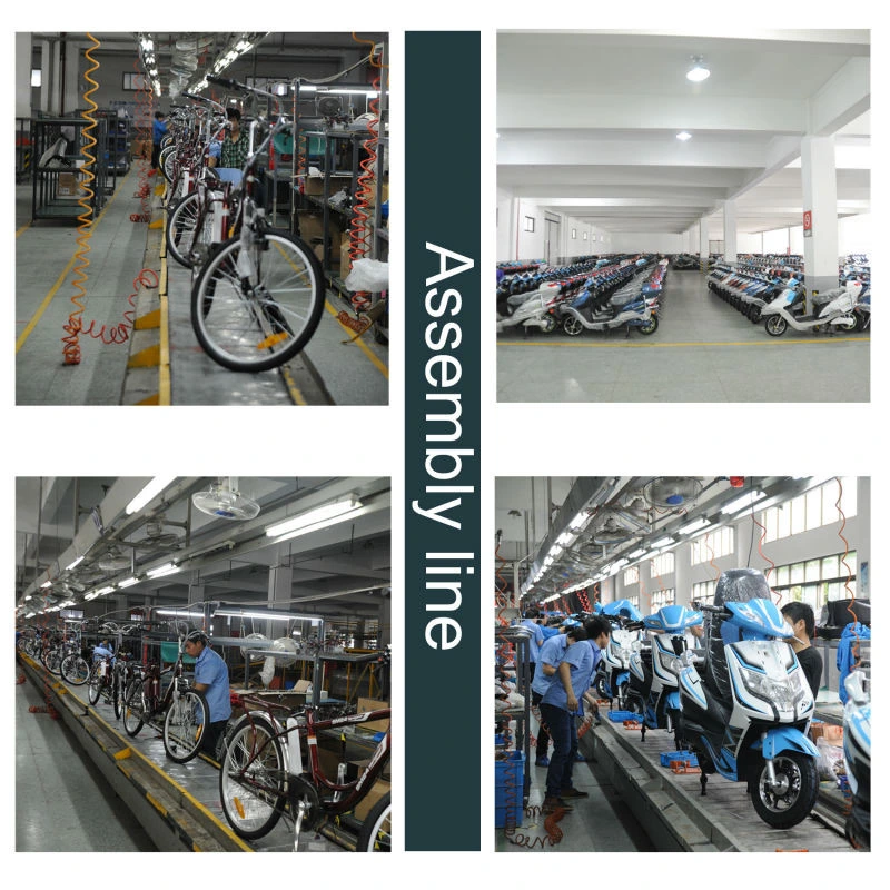 2020 Bafang Motor Cruiser 20inch 250W Road Commuter Women Moped Folding Ebike