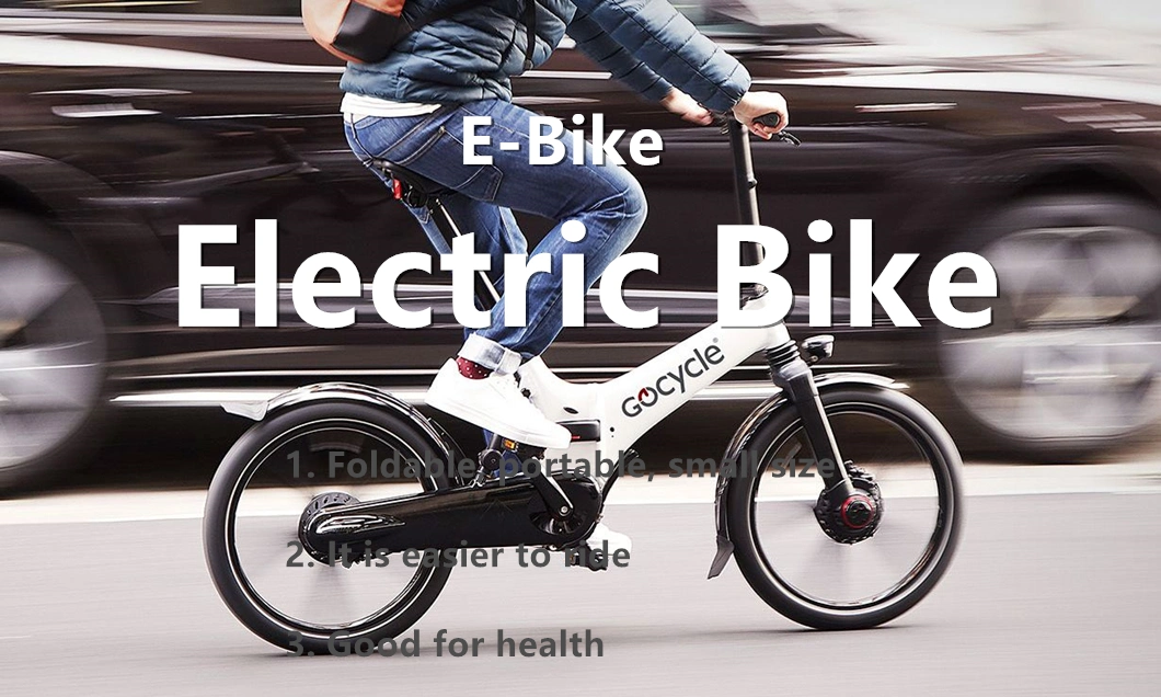 Lithium Battery Portable Electric Bike/Electric Bicycle/Mini Bike Folding E-Bike/Electric Bike