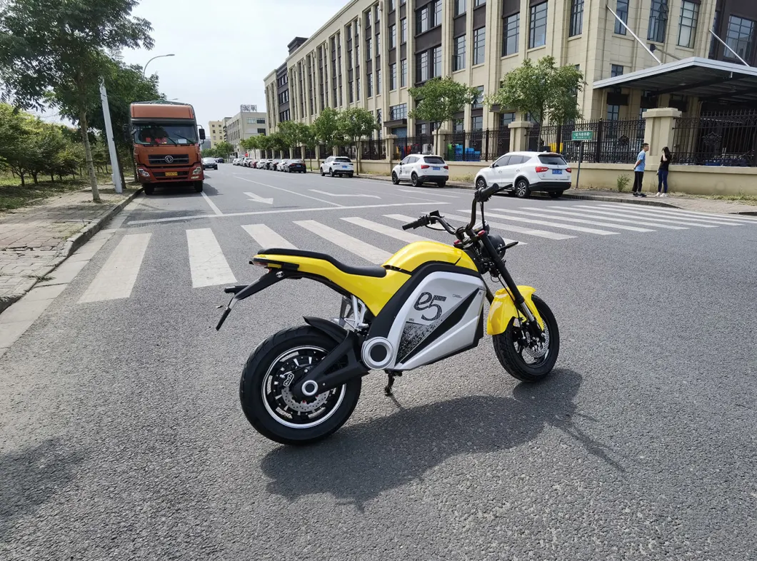 Hot Selling New Lithium Battery 2 Wheels Motorcycle Bikes Electric Bikes