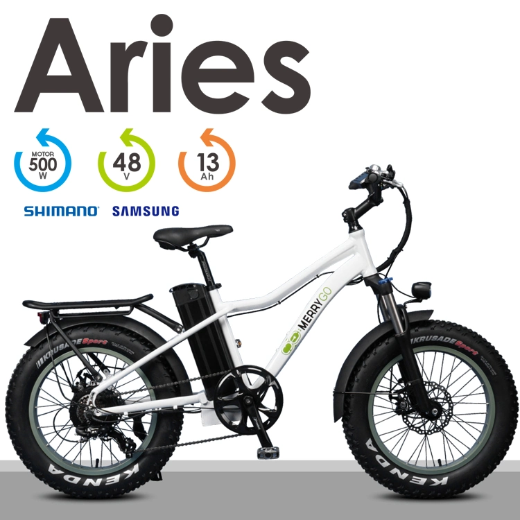 Full Suspension Fat Tire Electric Bike with Bafang Motor