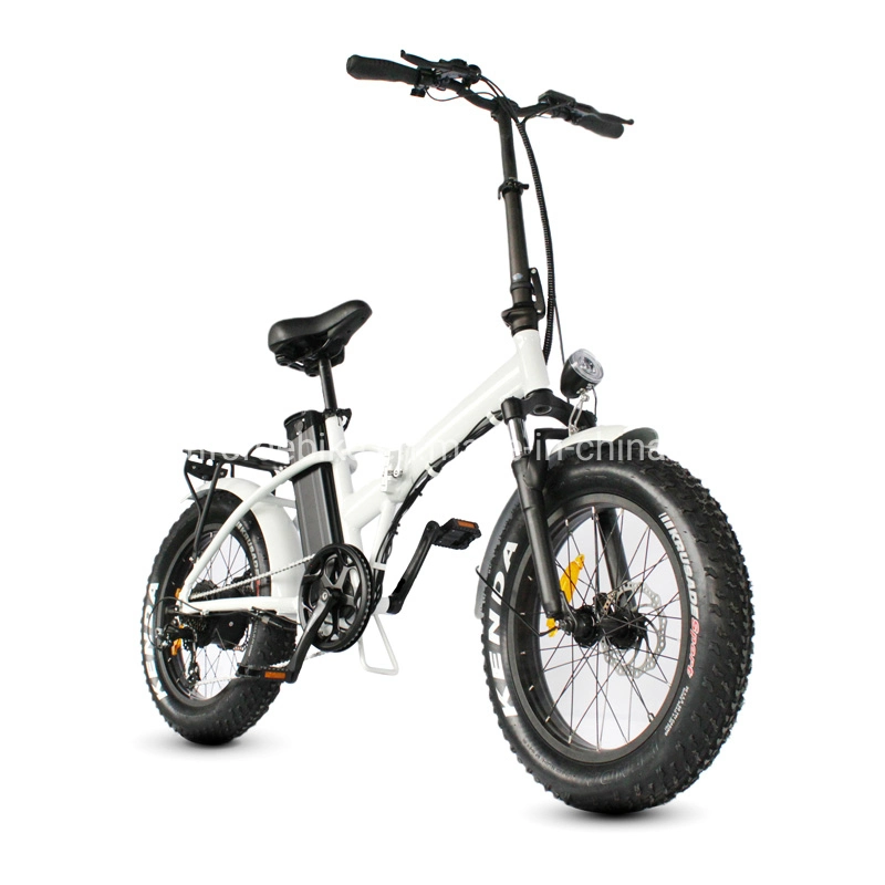 Retro Fat Tire Chinese Electric Bike for Sale
