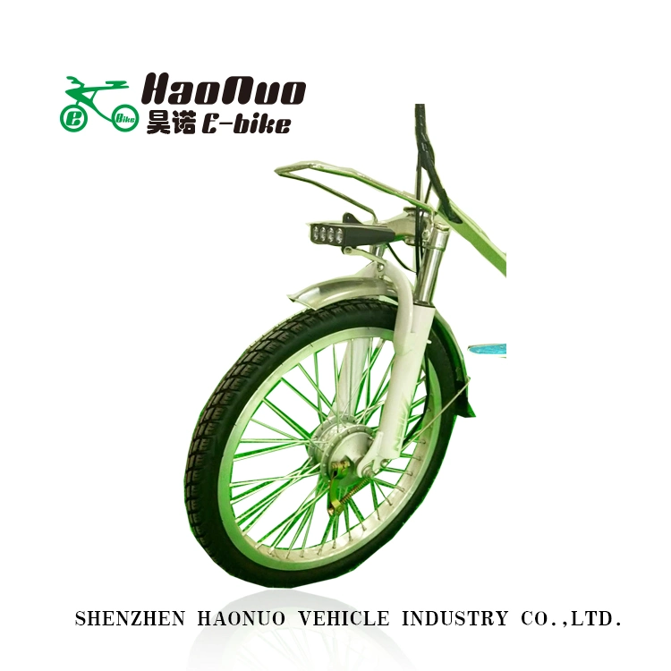 Remove 48V 10ah Lion Battery 20 Inch Wheel Electric Bike with Pedal Assistant for Sale