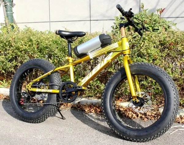20 Inch 48V 250-1500W Cheap Fat Tire Electric Bike / Full Suspension Electric Mountain Ebike / Fat Bike Electric / Bicycle
