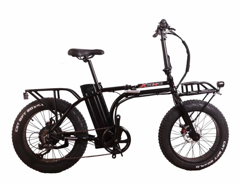 20 Inch Electric Foldable Electric Bicycle with Lithium Battery Electric Fat Tire Bike (MZ-075)