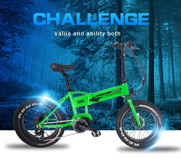Green Electric Bike Folding Electric Bicycle with Bafang MID Motor