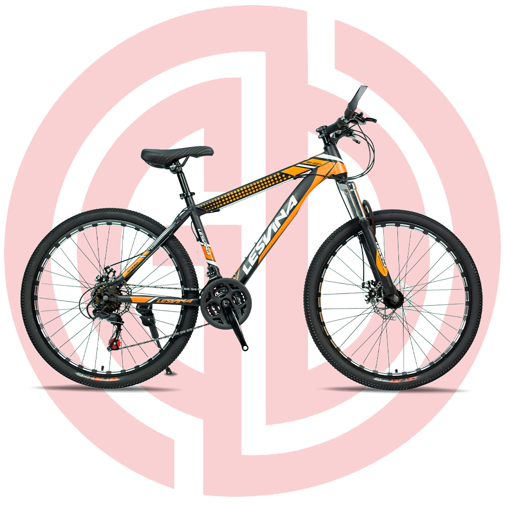 China Manufacturer Outdoor Bicycle New Design Bike Mountain Bike