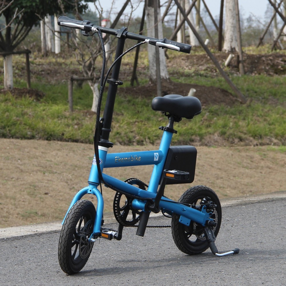 China Portable Electric Bike Wholesale