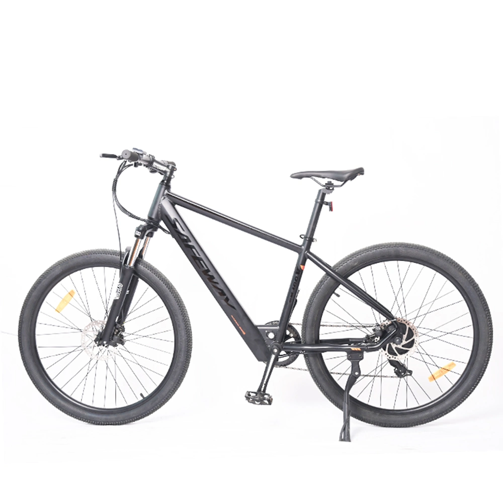 Electric Easy Bike/Electric Fat Bike Bafang/Electric Ebike Powerful