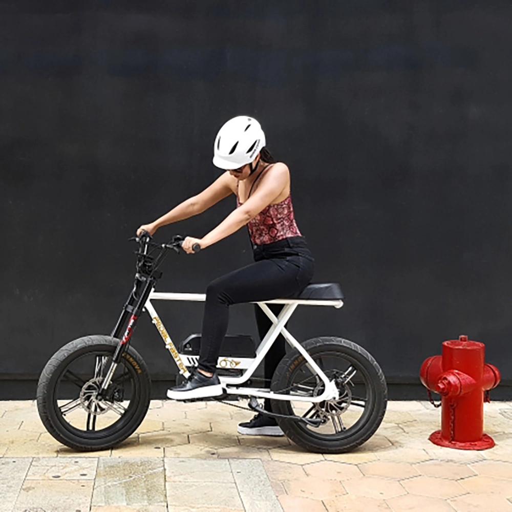 China Factory Ebike 750W Bafang Brushless Motror Fat Tire Electric Bikes for Adults Two Wheels