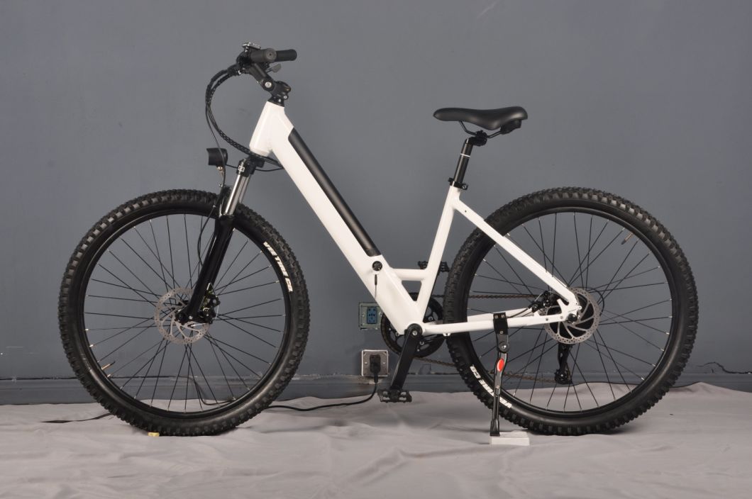 Laiguang 36V250W Specialized Step Through City Bicycle Electric Power Bike with Lithium Battery