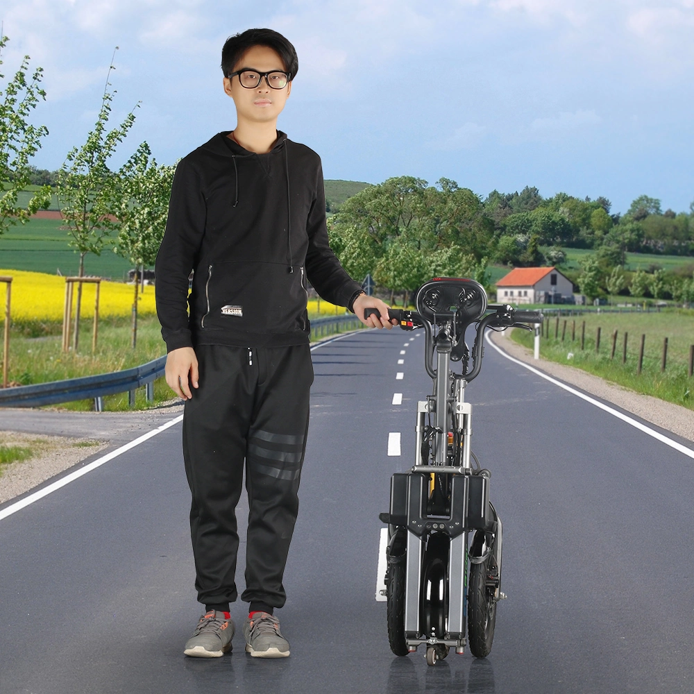 2019 250W European Fashionable Style Electric Folding Bike