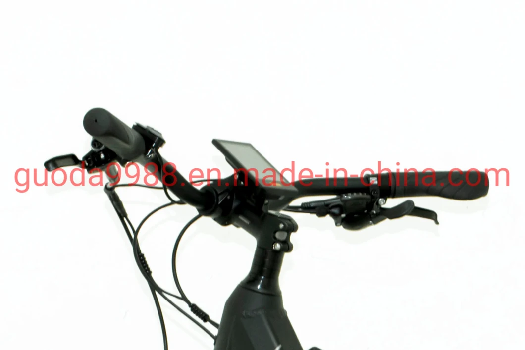 Bike Electric City/Best Electric City Bike/Bike Electric City/City Electric Bicycle