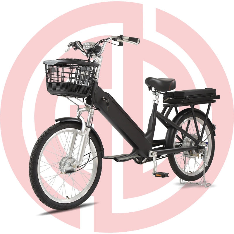 20''electric Bicycle City Bike Ecb E-Bike City Bicycle