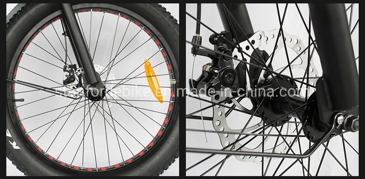 48V 500W 15ah Electric Bike, Electric Bike Kit, Fat Electric Mountain Bike From China