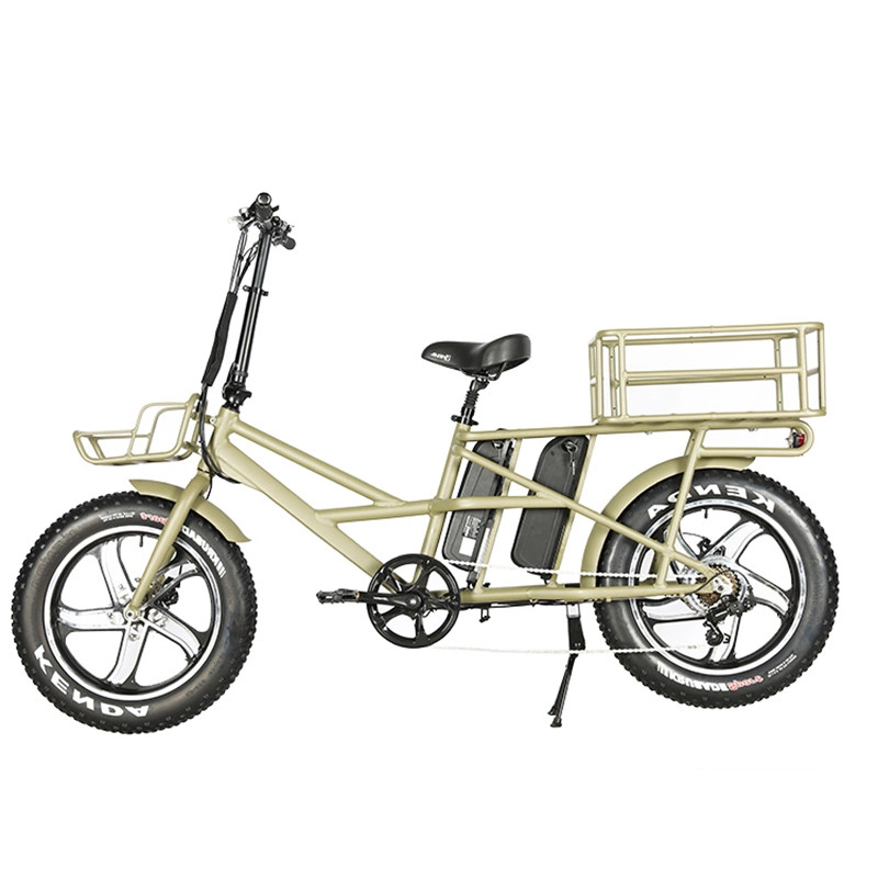 2020 Popular Hot Sales Double Batteries 750W Long Range Electric Bike with Double Baskets Cargo E-Bike