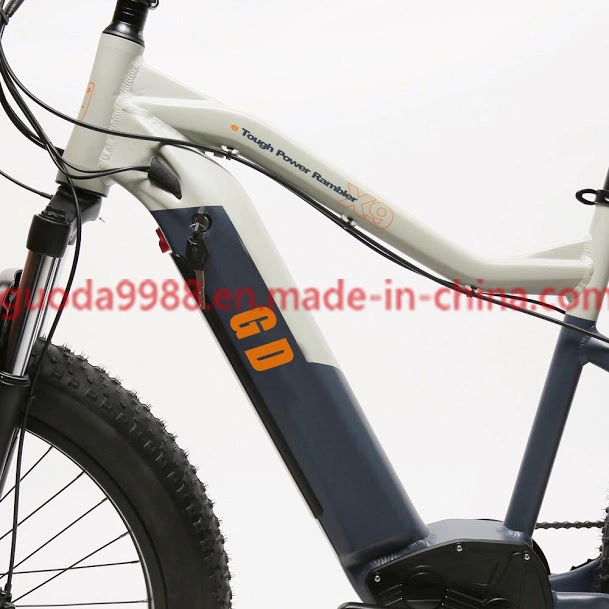 Electric Bike E-Bike Bicycle Electric Mountain Bike 48V750W