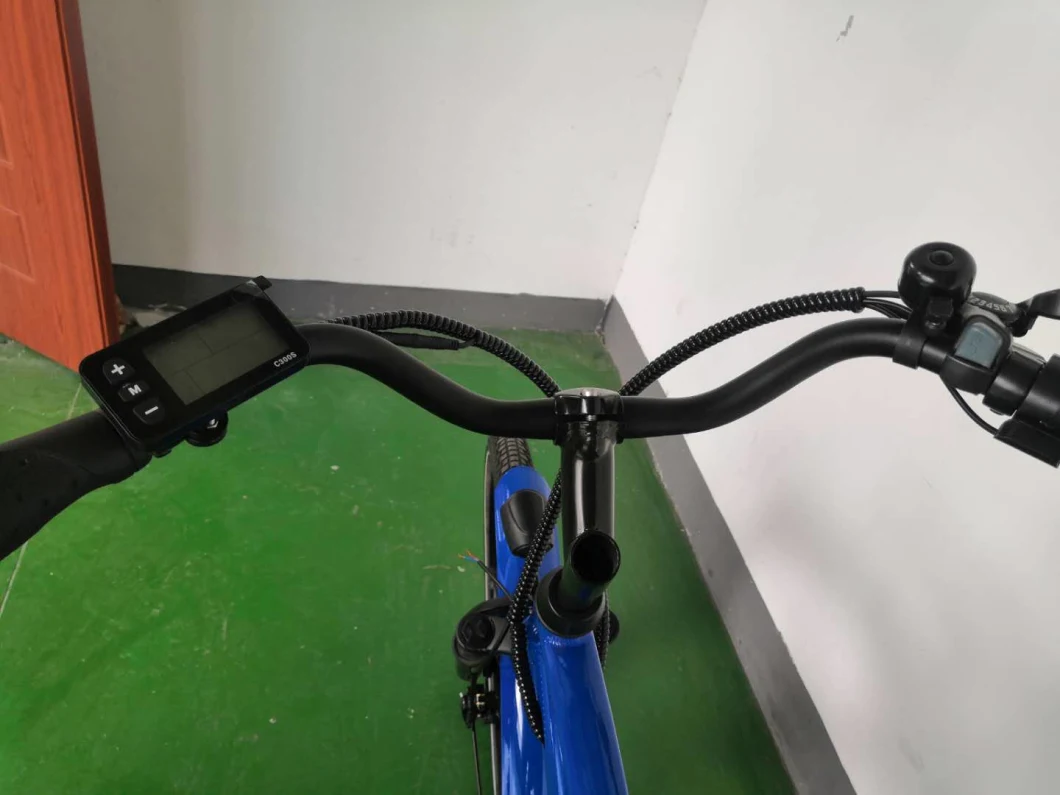 Factory Sale Electric Bicycle Cheap Woman Electric Bike for Outdoor