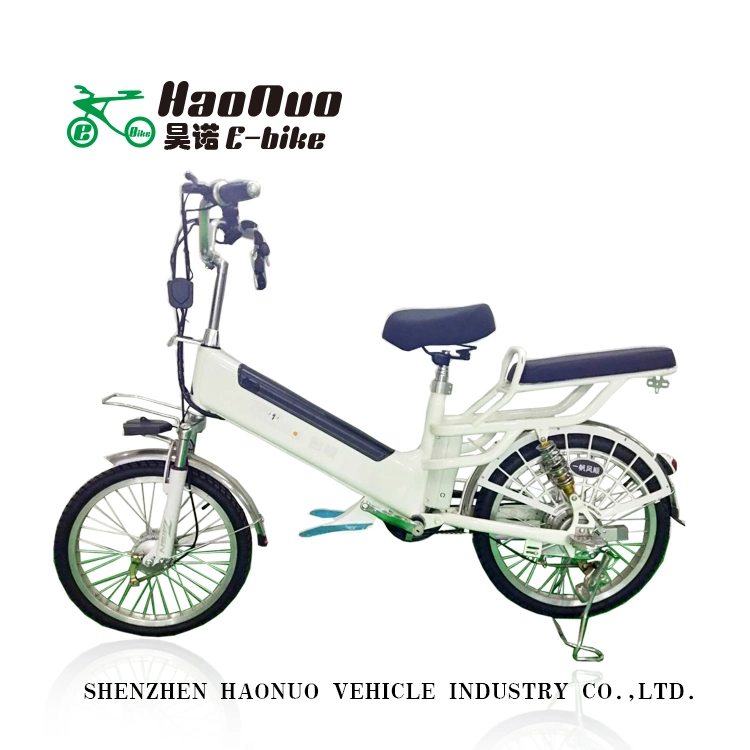 Remove 48V 10ah Lion Battery 20 Inch Wheel Electric Bike with Pedal Assistant for Sale