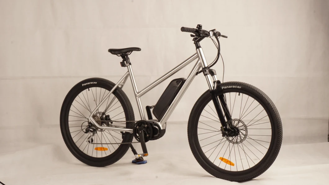 2019 New Bike Hot Selling City Bike Electric Bicycle for Lady