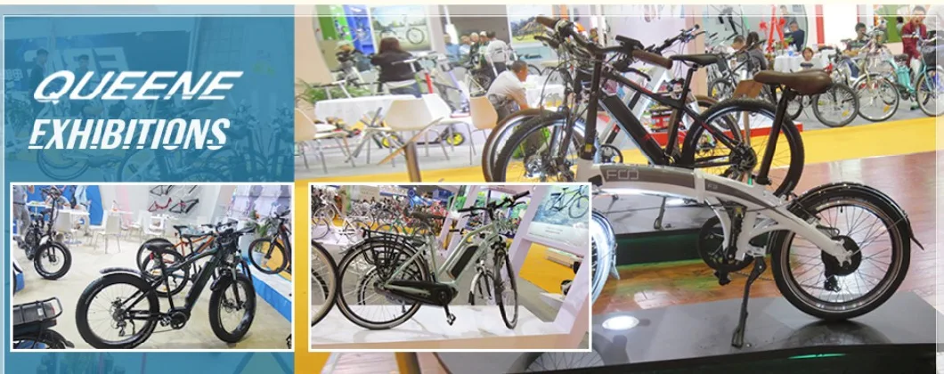Queene/Bafang MID Drive Fat Tyre Electric Bike /Mountain Electric Bike/Electric Bicycle with Ce