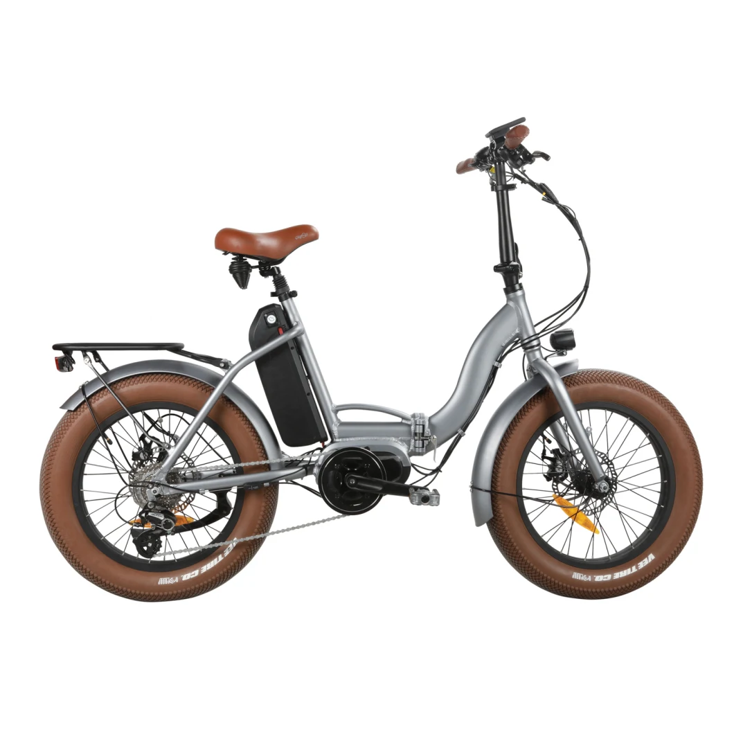 48V 350W Middle Drive Cheap Electric Bike Adult Sharing Ebike for Sale