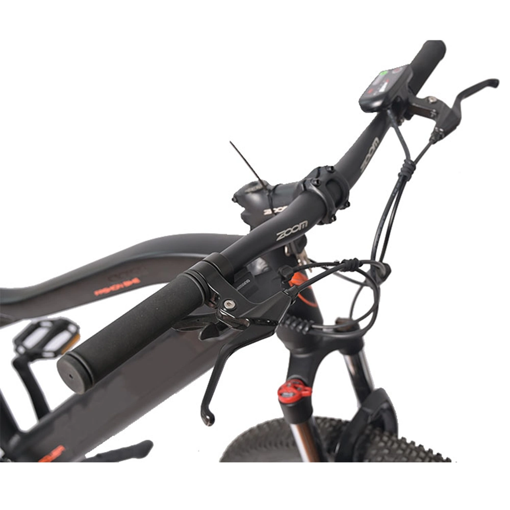 2020 New Sport High Speed Electric Bike 350W 48V 28 Inch Mountain Electric Bycicle