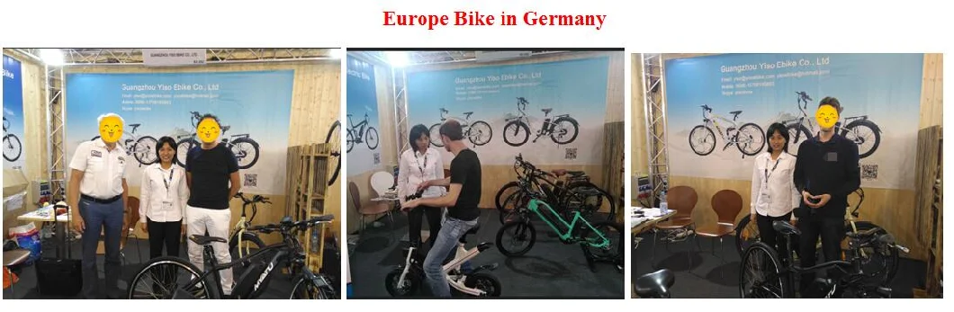 20 Inch City Ebike 250W Motor E-Bike 8 Speeds Electric City Bike Bicycle