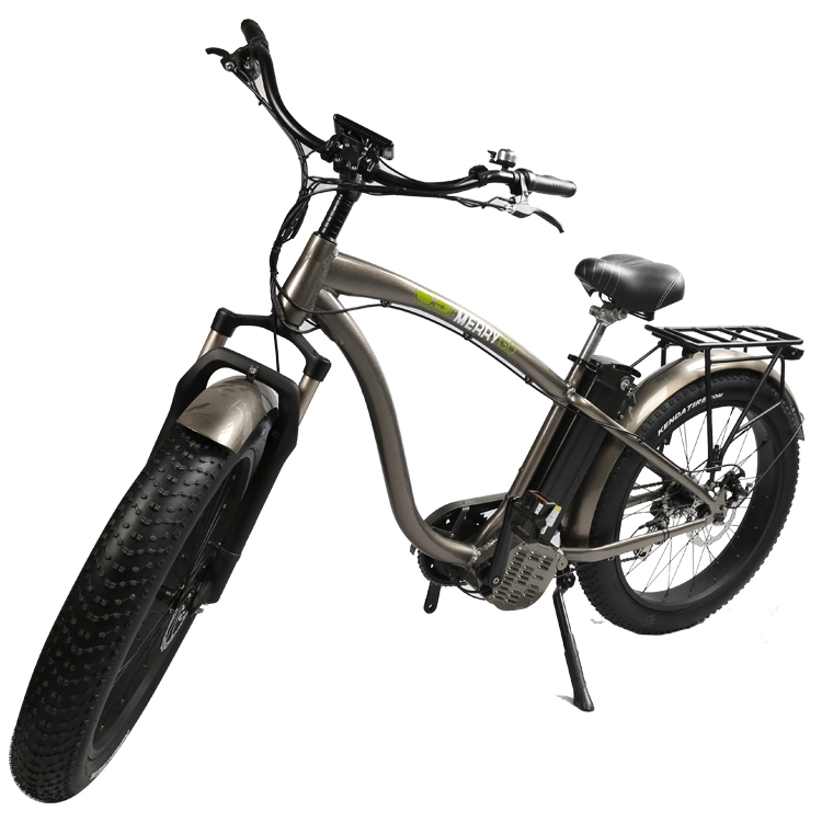 MID Drive Electric Bike 48V 1000W Mountain E Bike for Adults