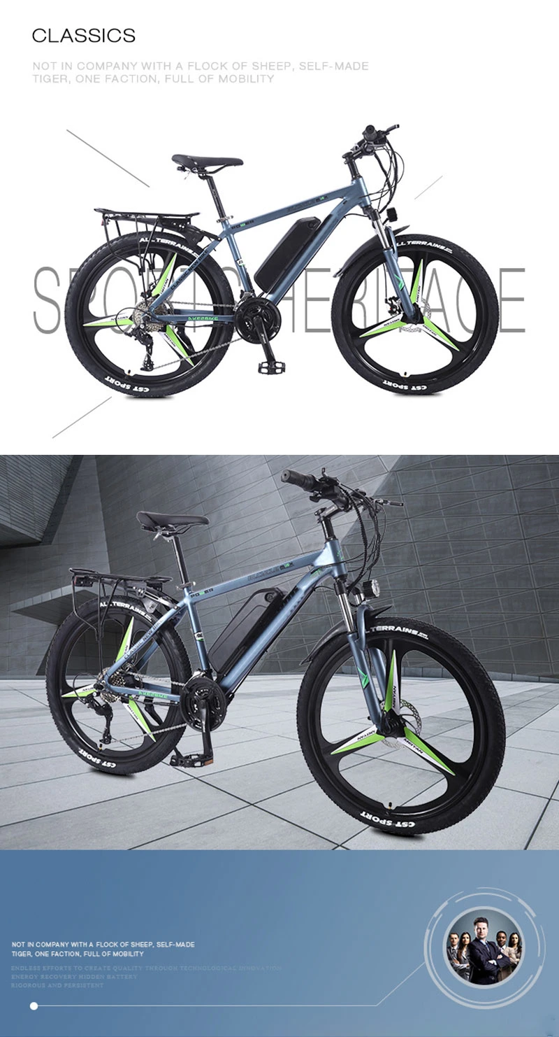 Factory Wholesale Lithium Battery Electric Bicycle Mountain Bike for Sale