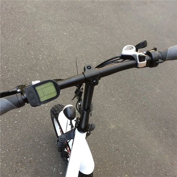 Hot Sales Electric Bicycle Ebike Electric Bicycle for China Factory