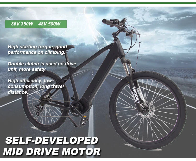 MID Drive Electric Bike 350W Ebike