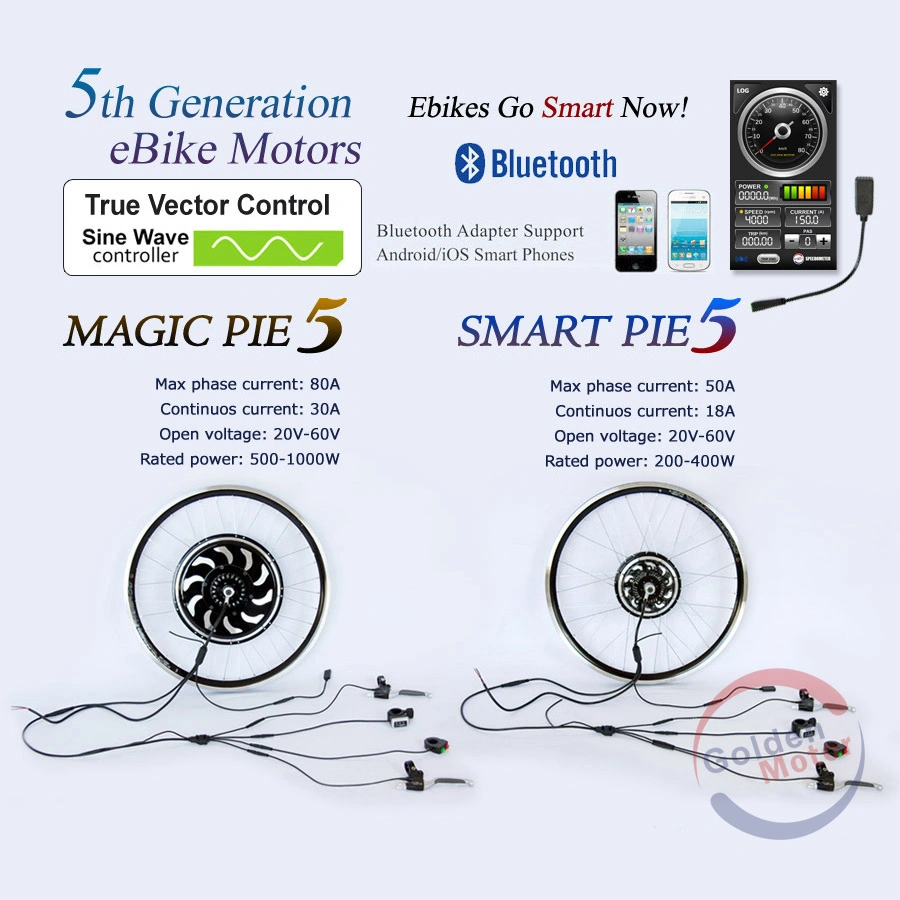 Powerful /Fastest Electric Bike at Speed 55km/H Electric Bike (SEB-350D)